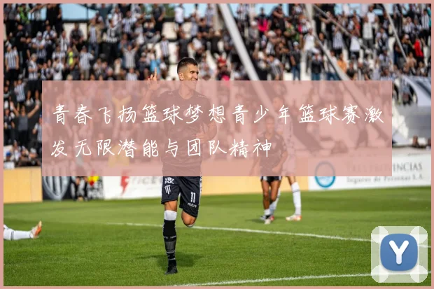 青春飞扬篮球梦想青少年篮球赛激发无限潜能与团队精神