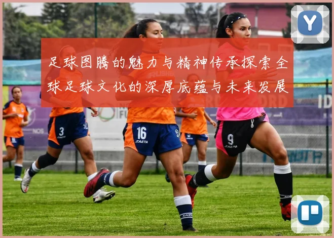 足球图腾的魅力与精神传承探索全球足球文化的深厚底蕴与未来发展