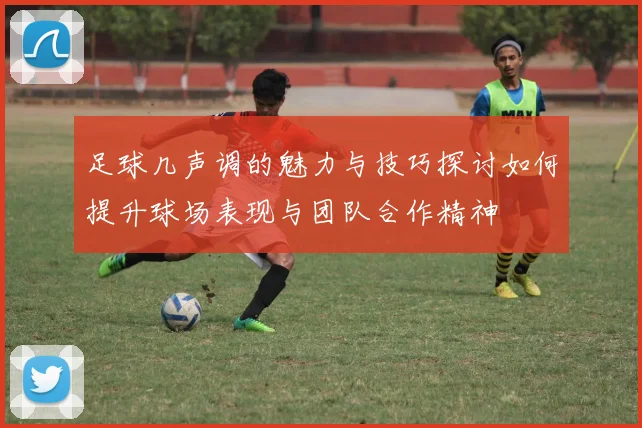 足球几声调的魅力与技巧探讨如何提升球场表现与团队合作精神