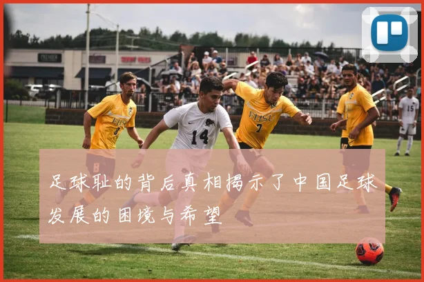 足球耻的背后真相揭示了中国足球发展的困境与希望