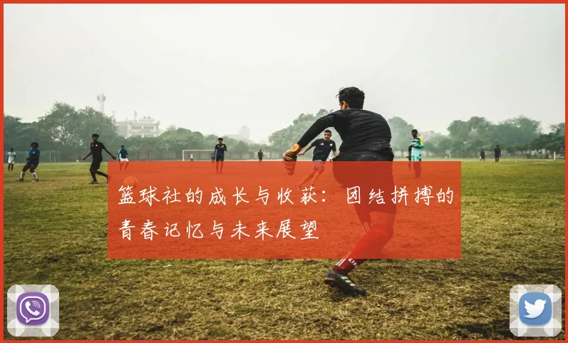 篮球社的成长与收获：团结拼搏的青春记忆与未来展望